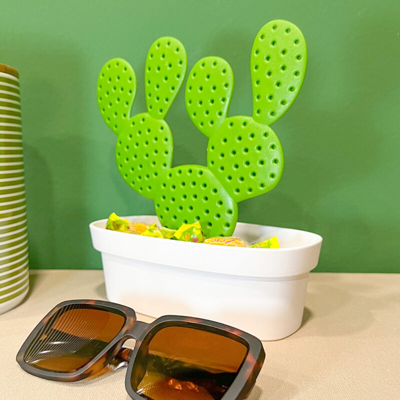Svuota Tasche Portaoggetti Cactus - immagine 4