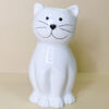 Umidificatore Gatto - immagine 5